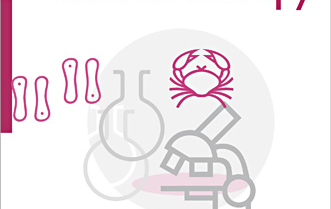 Major Study Questions Aggressive Cancer Treatment