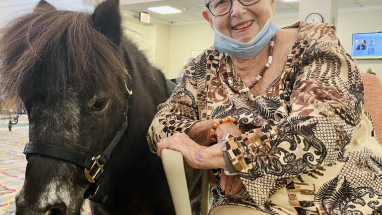 Miniature Horse Draws Smiles from Seniors