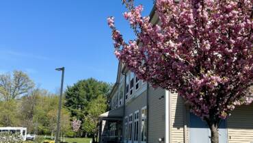 Important Update: Temporary COVID-19 Precautions at Stein Assisted Living