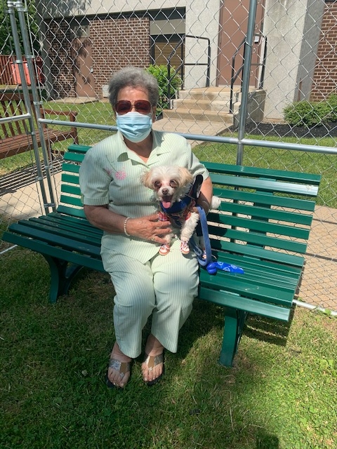 woman sitting on bench holding dog