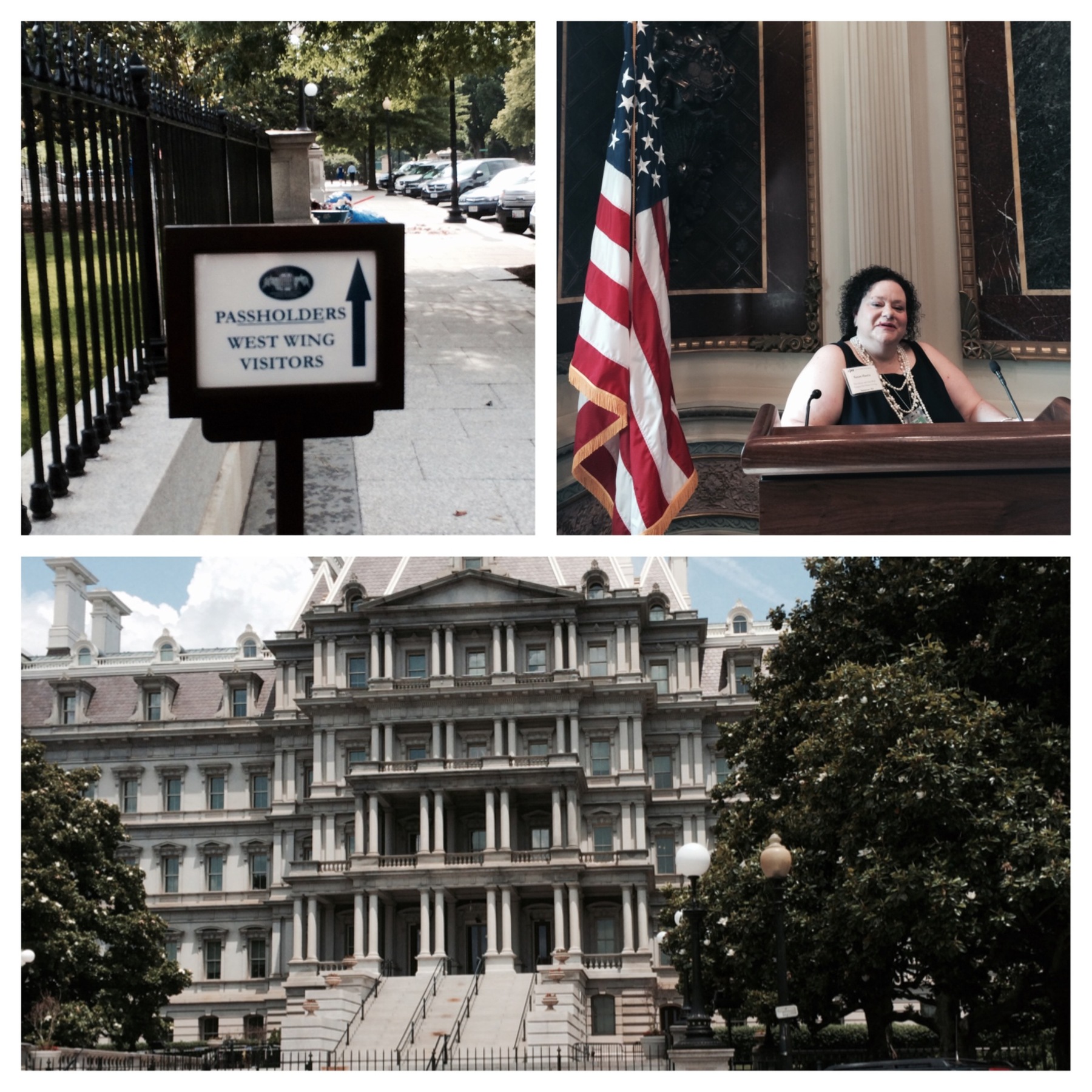 susan harris speaking about Holocaust survivor healthcare at White House